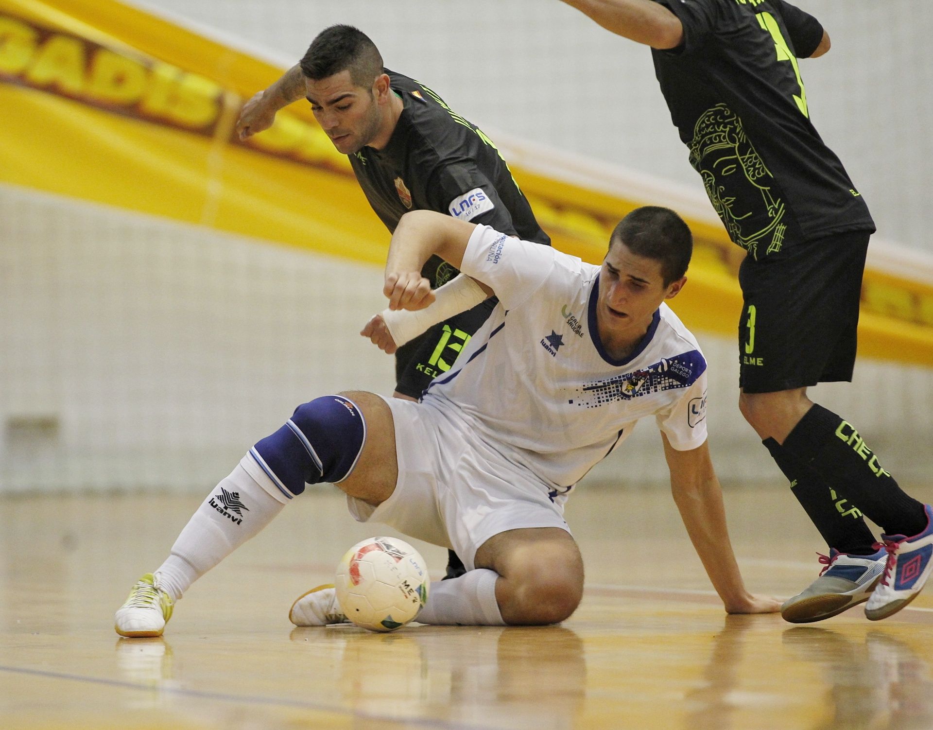 Imagen del O Parrulo-Elche en A Malata (foto: Mero Barral / 13fotos para Ferrol360)