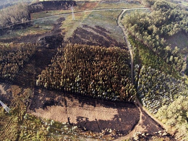 El incendio de Naraío, a vista de dron (foto: Raúl Lomba / Ferrol360)