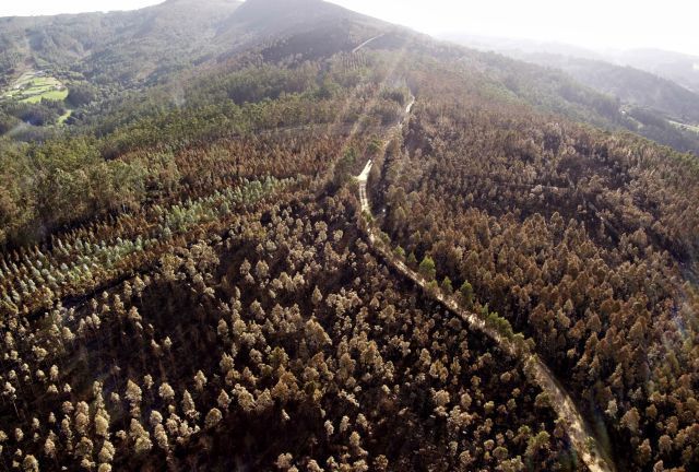 El incendio de Naraío, a vista de dron (foto: Raúl Lomba / Ferrol360)