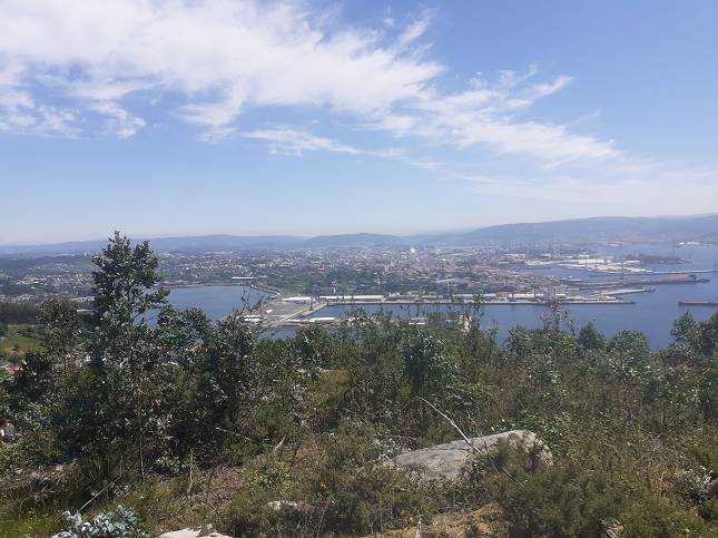 Los eucaliptos tapan el borde del bosque centenario que tiene vistas sobre la ría de Ferrol (foto: Ferrol360)