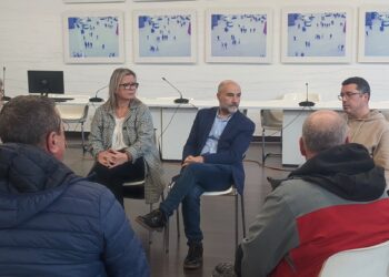 Fene lleva al Congreso y Parlamento gallego la defensa del futuro de Navantia