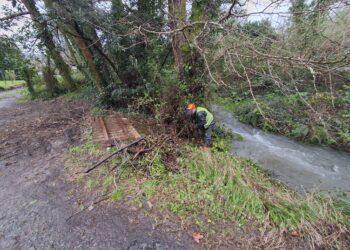 La Xunta actúa de urgencia en Neda tras los temporales: limpieza en más de 3 kilómetros de ríos para prevenir inundaciones