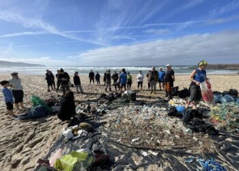 Doniños más limpio: 420 kilos de residuos retirados gracias a la Sociedade Galega de Historia Natural
