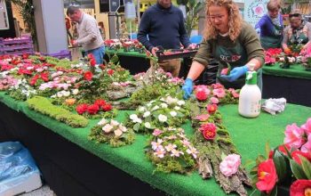Muestra de las Camelias en Odeón