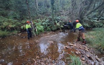 Conservacion Fluvial AsPontes1
