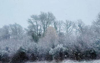 Nieve este domingo en As Pontes. (Foto: Alicia Seoane)