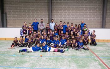 Hockey narón