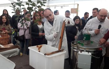 Feria de la miel en Ortigueira