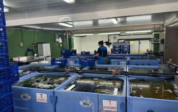 cofradia pescadores BARALLOBRE 27 JUNIO (9)