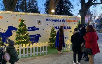 Campana recogida juguetes