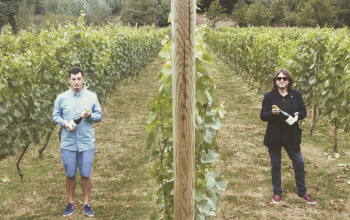 Bodegas El paraguas