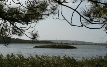 Lagoa de A Foruxeira, Valdoviño