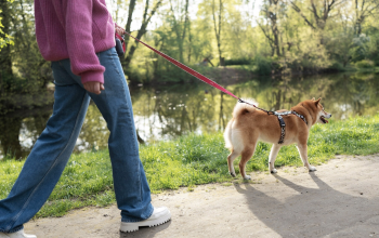 Mujer paseando a su perro