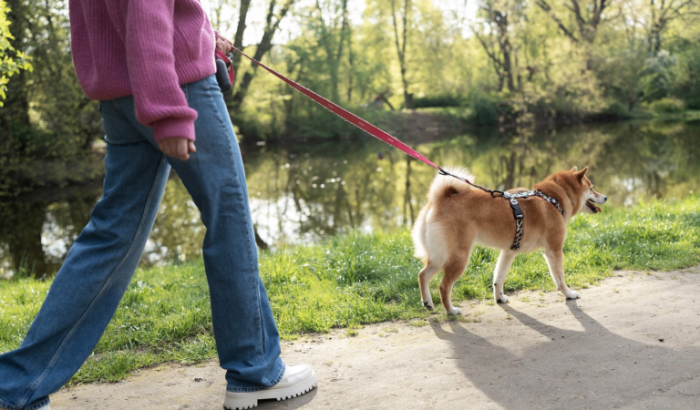 Mujer paseando a su perro