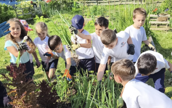 Ceip San Rosendo trabajando en su huerto urbano