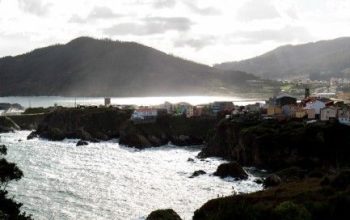 Cariño_14