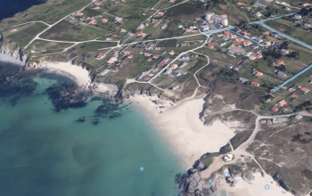Covas