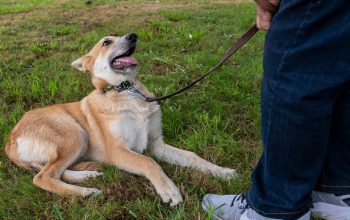_DSC2969_Original ratio_1920x1281_H_90