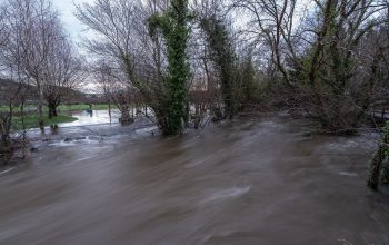 _DSC4951_Original ratio_1920x1281_U_80