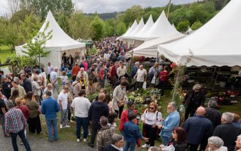 Feria de la Plantación de San Sadurniño