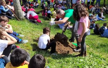 Día da árbore San Xoan da Filgueira