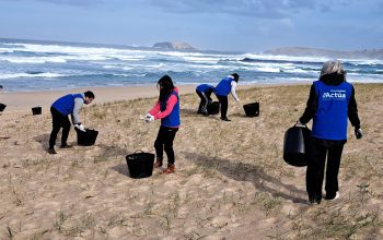 Proyecto Placton en la playa de Doniños. Foto: cedida por la organización
