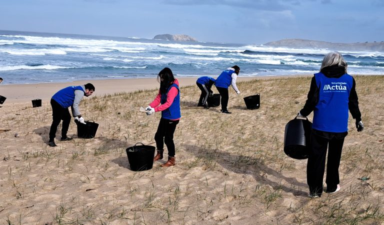Proyecto Placton en la playa de Doniños. Foto: cedida por la organización