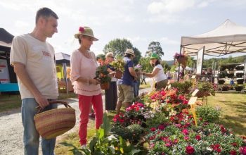 feira rural san sadurniño