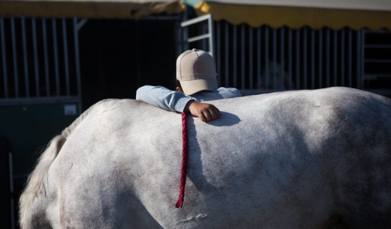 Equiocio 2025_-28