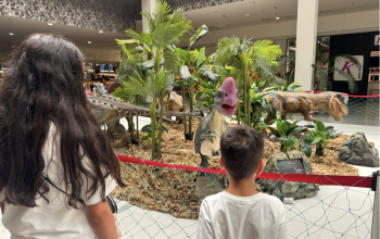 Expo dino 1