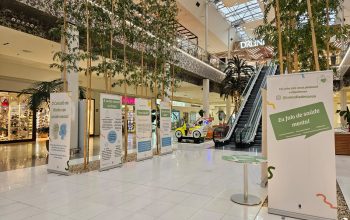 Exposición Odeón