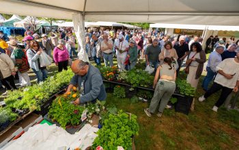 FEIRA DA PLANTACION 4
