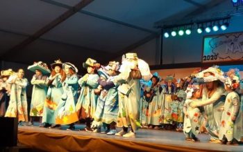 Festival Entroido Naron 2020