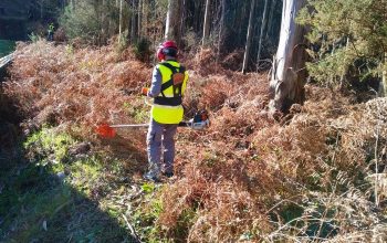 Forestal 1 reinicia mugardos