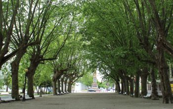 Foto -Canton-de-Molins- Ferrol sostenible