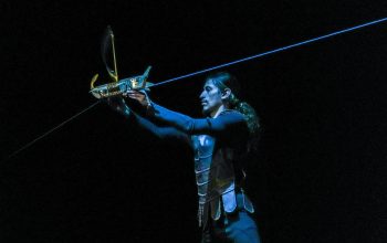 El Ciclo FESTEA llega a su fin