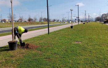 As Pías será el nuevo corredor verde urbano
