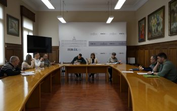 Comité Seguridade