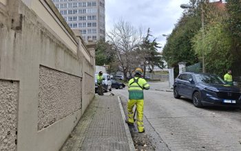 Plan barrios Canido