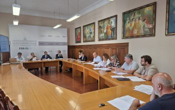 Pleno Mancomunidade xullo