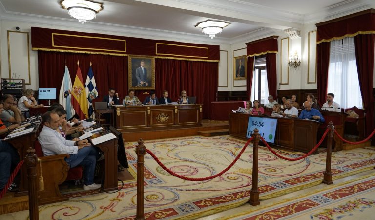 Foto NP 2026.07.30 Pleno ordinario xullo