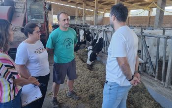 Imagen del proyecto Nó Rural que busca el relevo generacional en el sector de la ganadería y agricultura. Foto: Cedida