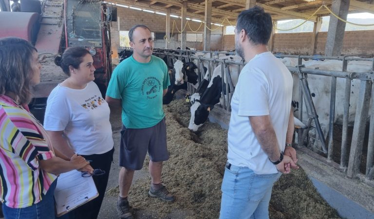 Imagen del proyecto Nó Rural que busca el relevo generacional en el sector de la ganadería y agricultura. Foto: Cedida