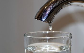 Grifo, agua