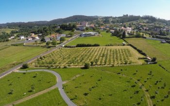 Horta de conservación de froiteiras Carlos Fornos