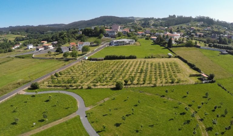 Horta de conservación de froiteiras Carlos Fornos
