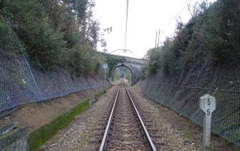 Linea ferroviaria Ferrol, Viveiro, Tren