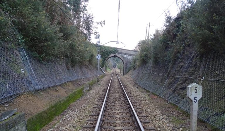 Linea ferroviaria Ferrol, Viveiro, Tren