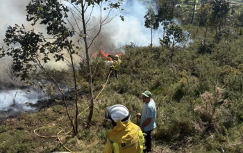 Extinción del incendio de Chamorro