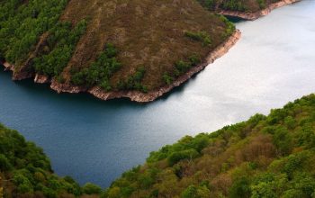 IMG_1415